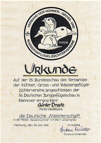 Urkunde Deutscher Meister im VHGW